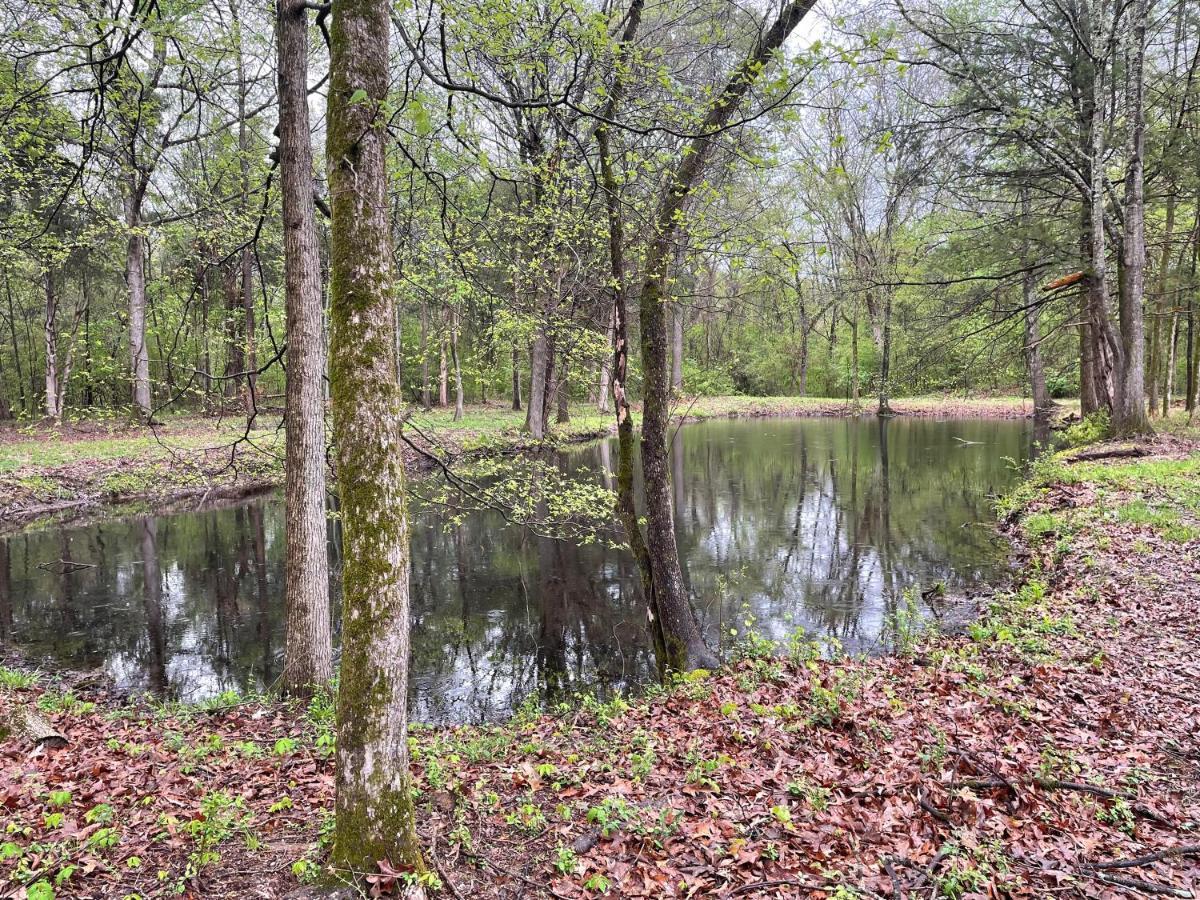 Charming Tiny Home! Close To Oxford, Sardis Lake, Safari Animal Zoo Eksteriør billede